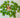 Packages of 12 Green Small Millefiori Beads - 2