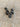 Silver Tone Metal Bali Accent Beads #7139 - 2