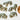 1 - Package of 5 Animal Charms - Lions, Tigers & Buffalos  - 1