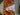 Jack-O-Lantern Fabric - 2
