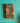 Fat Quarter Birds Birdhouses Red Green Holidays Christmas - 1