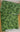 Dark green floral quilt fabric - 1