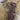 670dca8034be6e479edf2839_berries-1_1787654868390.jpg