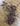 670dca8034be6e479edf2839_berries-1_1787654868390.jpg