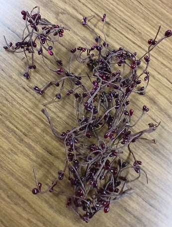 670dca8034be6e479edf2839_berries-1_1787654868390.jpg