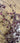 670dca8034be6e479edf2839_berries-2_1787654868391.jpg