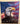 670dca8034be6e479edf2839_eagle1_1791862955518.jpg