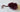 670dca8034be6e479edf2839_eye-pink-purp_1750812034399.jpg