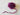 670dca8034be6e479edf2839_ff-purp_1750375535534.jpg