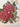 670dca8034be6e479edf2839_image_1764105789638.jpg