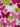 670dca8034be6e479edf2839_image_1780090095970.jpg