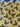 670dca8034be6e479edf2839_image_1780175376964.jpg