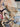 670dca8034be6e479edf2839_image_1791125761547.jpg