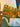 670dca8034be6e479edf2839_img-0010_1790543855916.jpeg