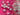 670dca8034be6e479edf2839_img-0023_1788986262864.jpeg