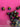 670dca8034be6e479edf2839_img-0048_1788987070074.jpeg