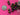 670dca8034be6e479edf2839_img-0050_1788987070075.jpeg