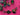 670dca8034be6e479edf2839_img-0156_1789328043811.jpeg