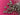 670dca8034be6e479edf2839_img-0175_1789336434202.jpeg