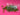 670dca8034be6e479edf2839_img-0177_1789336597736.jpeg