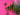 670dca8034be6e479edf2839_img-0178_1789336597738.jpeg