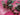 670dca8034be6e479edf2839_img-0181_1789336711892.jpeg