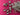 670dca8034be6e479edf2839_img-0191_1789337135407.jpeg
