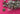 670dca8034be6e479edf2839_img-0196_1789337317861.jpeg