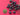 670dca8034be6e479edf2839_img-0246_1789338782836.jpeg