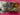 670dca8034be6e479edf2839_img-0267_1789339611228.jpeg