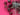 670dca8034be6e479edf2839_img-0275_1789339786247.jpeg