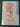 670dca8034be6e479edf2839_img-0299_1791213411481.jpeg
