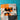 670dca8034be6e479edf2839_img-0421_1790121799408.jpeg