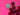 670dca8034be6e479edf2839_img-0431_1789860187793.jpeg