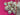 670dca8034be6e479edf2839_img-0447_1789857508215.jpeg