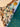 670dca8034be6e479edf2839_img-0467_1791648428528.jpeg