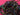 670dca8034be6e479edf2839_img-0475_1789930382979.jpeg