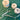 670dca8034be6e479edf2839_img-0515_1791651242276.jpeg