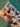 670dca8034be6e479edf2839_img-0581_1791662456902.jpeg