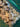 670dca8034be6e479edf2839_img-0582_1791662456903.jpeg