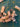 670dca8034be6e479edf2839_img-0586_1791662549176.jpeg