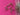 670dca8034be6e479edf2839_img-0638_1790812237556.jpeg