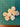 670dca8034be6e479edf2839_img-0723_1792338234025.jpeg