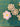 670dca8034be6e479edf2839_img-0727_1792338402690.jpeg