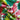670dca8034be6e479edf2839_img-0777_1785366036464.jpeg