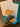 670dca8034be6e479edf2839_img-0784_1792861263103.jpeg