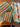 670dca8034be6e479edf2839_img-0801_1792861891608.jpeg