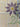 670dca8034be6e479edf2839_img-0829_1792863084129.jpeg