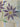 670dca8034be6e479edf2839_img-0830_1792863084129.jpeg