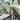670dca8034be6e479edf2839_img-0841_1785613336391.jpeg
